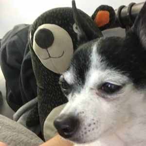 Meet your Posher, Maria